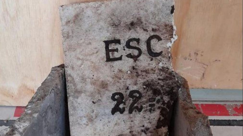 En medio de una obra de reformas que se hacían en la escuela, obreros dieron con un impresionante descubrimiento (Gentileza de El Diario Sur).