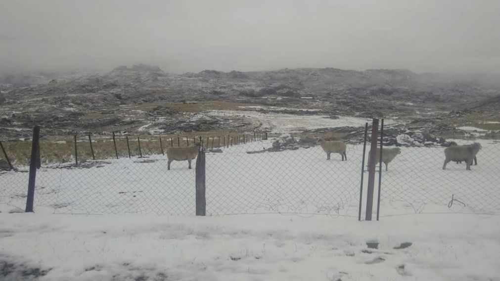El Cerro Champaquí se tiñó de blanco durante este martes en Córdoba (La Voz)