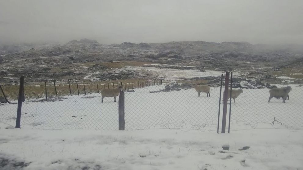 El Cerro Champaquí se tiñó de blanco durante este martes en Córdoba (La Voz)