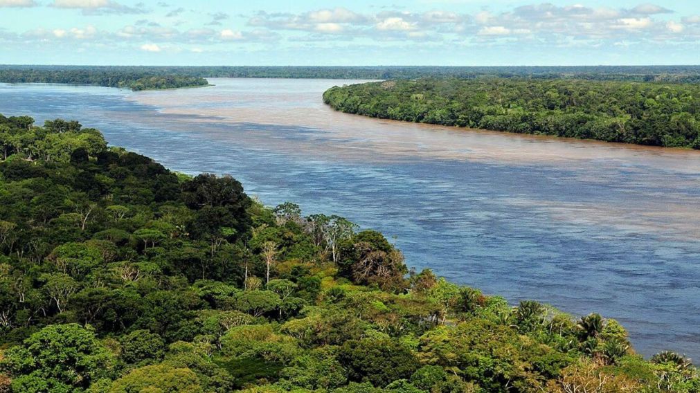 Bosques de la Amazonia emitieron más carbono del que absorbieron en la última década.