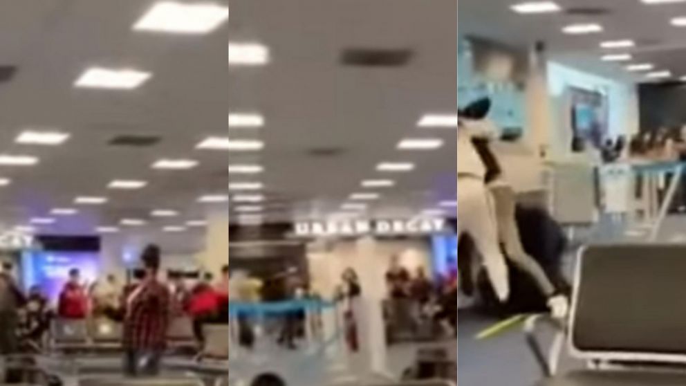 Tenía el barbijo mal puesto y lo molieron a palos en un aeropuerto (captura vídeo).