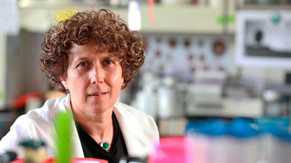 "Este reconocimiento resalta que podemos hacer investigación de calidad desde Argentina", valoró Gamarnik (Télam).