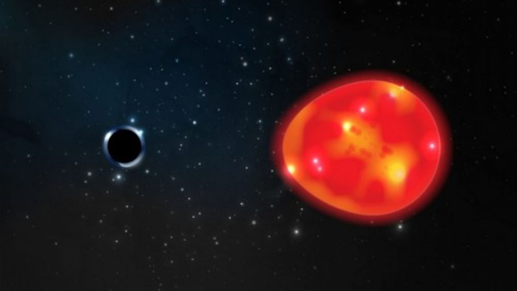 El agujero negro se encuentra a 1.500 a�os luz de la Tierra (Gentileza Universidad de Ohio). 