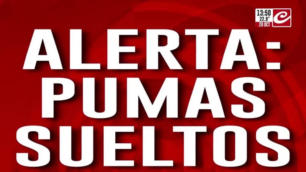 Crónica HD