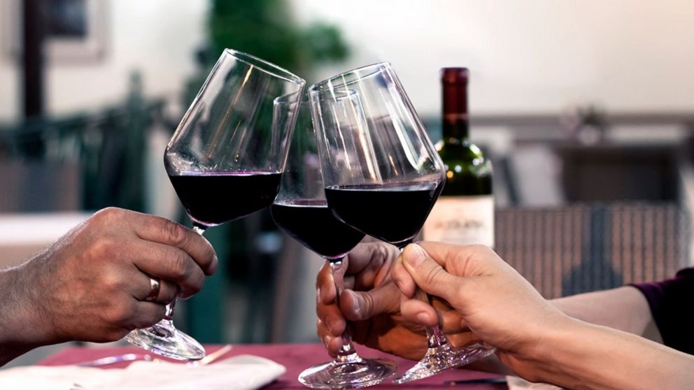 La celebración del Día Mundial del Malbec cumple 10 años este 2021 (Télam).