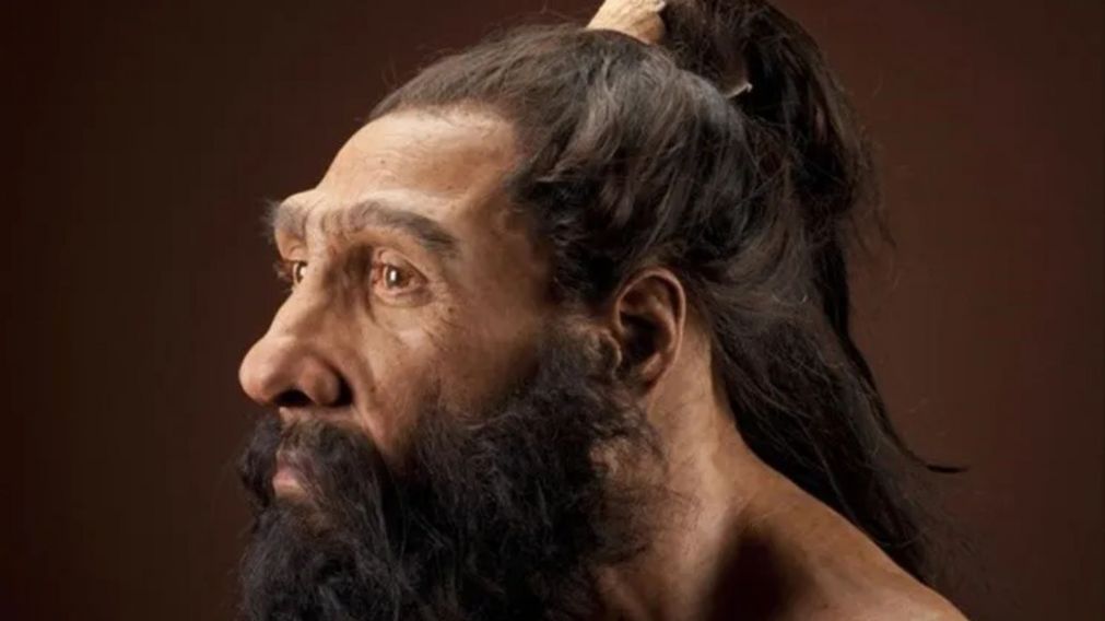 Investigadores creen que los neandertales tenían más sexo que los humanos modernos.