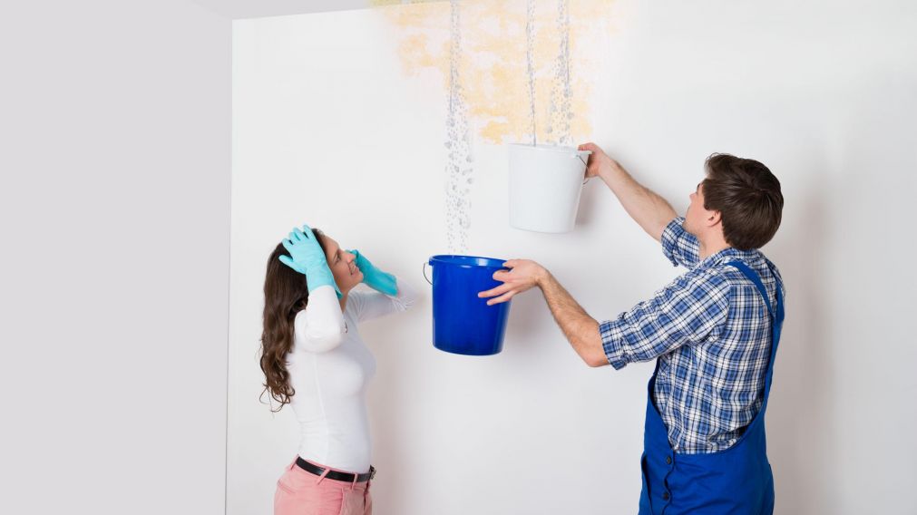 Hay varias medidas preventivas para evitar la formaci�n de manchas y moho en casa.