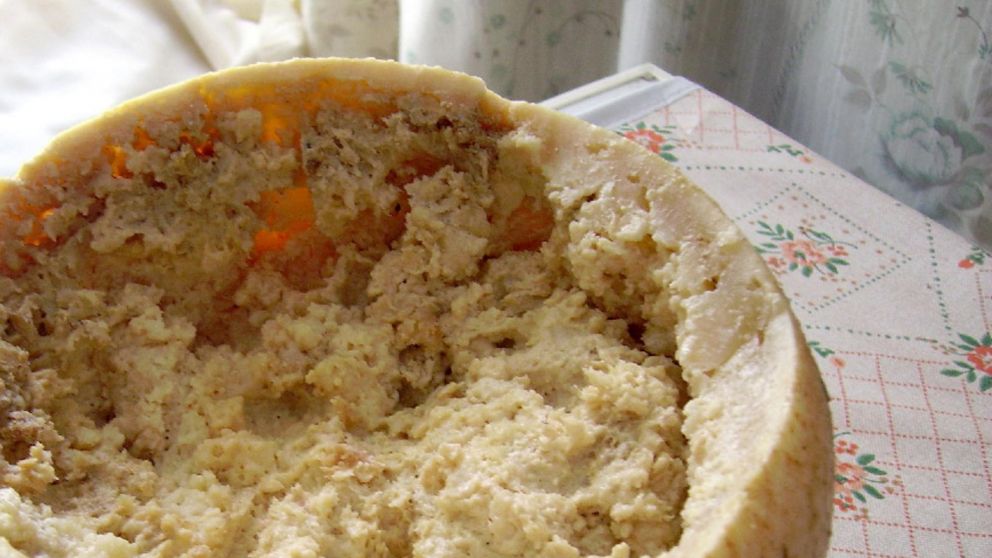Casu Marzu, el queso italiano hecho con gusanos.