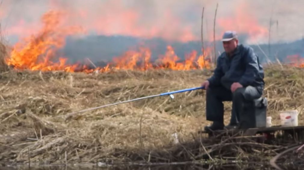 Viral: Pescador sigue en la suya mientras incendio avanza hacia él