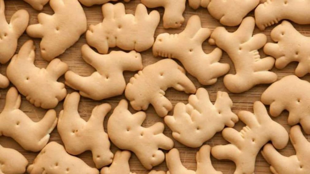 Las galletitas de los animalitos, en la mira de una ONG vegana que busca que las prohíban (Imagen ilustrativa).