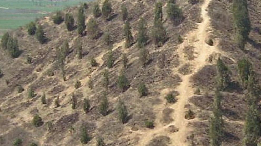 Similitudes en las pirámides del mundo: ¿Por qué son tan parecidas?