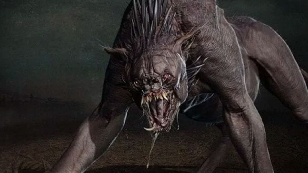 Uno de los ganaderos afectados dijo que el animal deja "un hoyito al costado del cuello, no come la carne ni las entrañas y solo ataca de noche".