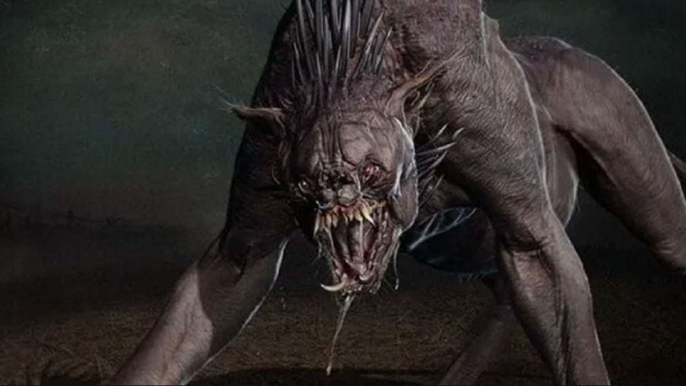 Uno de los ganaderos afectados dijo que el animal deja "un hoyito al costado del cuello, no come la carne ni las entrañas y solo ataca de noche".