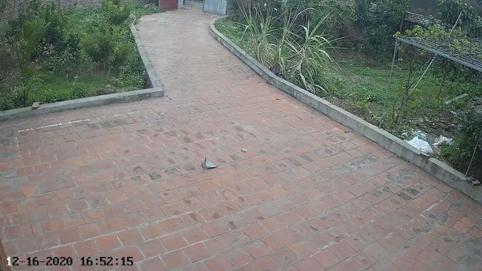 "Da miedo", dice el dueño de la casa y autor del video.