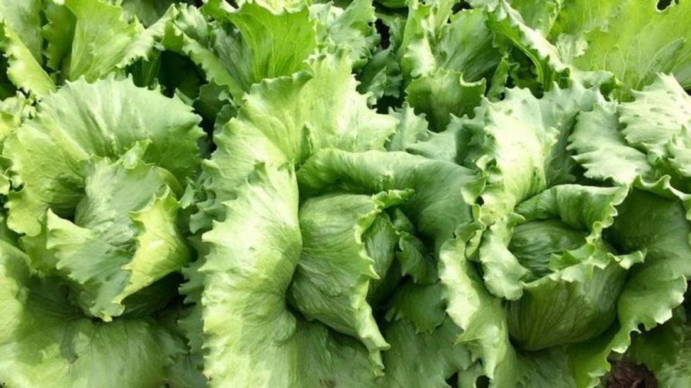 El reporte compara el valor promedio de 15 productos en el Interior con el programa precios cuidados o hipermercados de CABA.