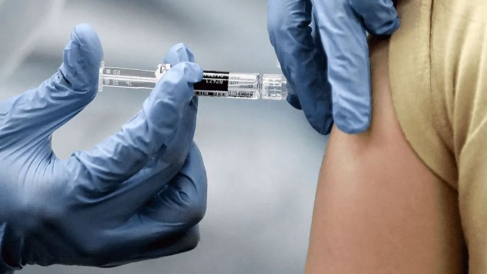 Esta vacuna utiliza prote�nas virales para inducir la generaci�n de anticuerpos