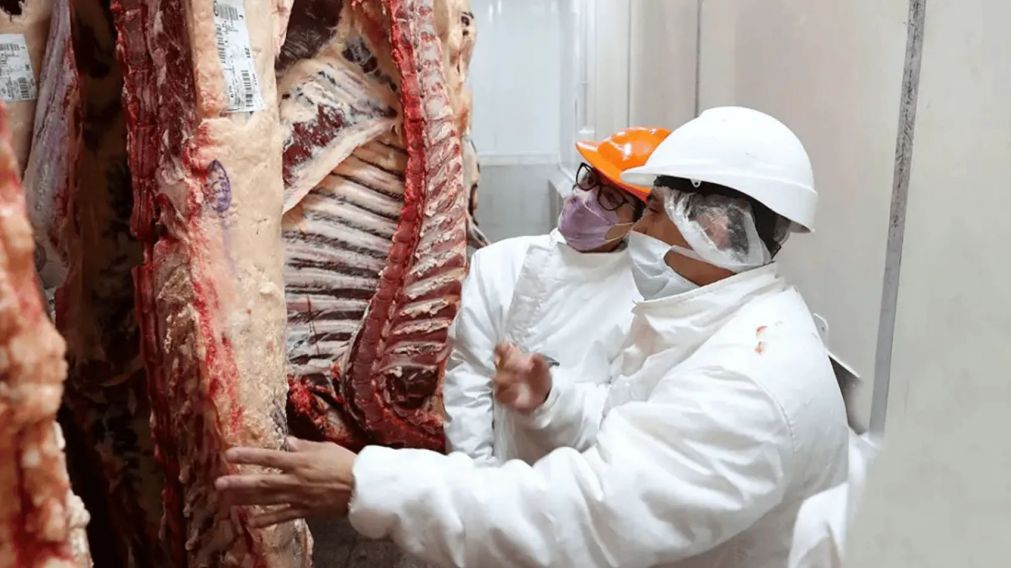 El Gobierno elimin� las retenciones para la carne av�cola y bovina hasta el 31 de octubre (Imagen ilustrativa).