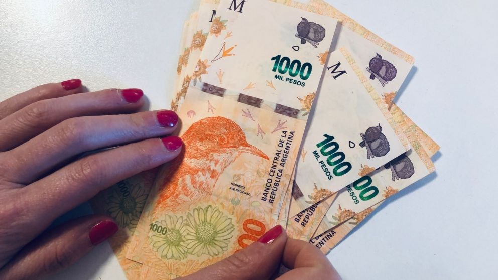 Atenci�n, AUH de ANSES: �Qui�nes podr�n cobrar un monto de m�s de $363.000 en mayo?