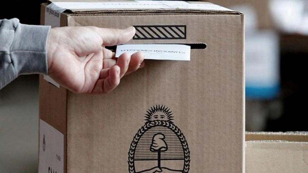 Dónde ver cómo vienen los resultados de las elecciones legislativas 2025.
