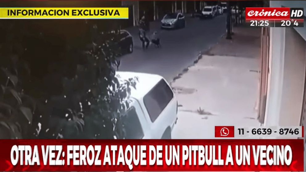 Así el perro atacó ferozmente al hombre (Crónica HD).