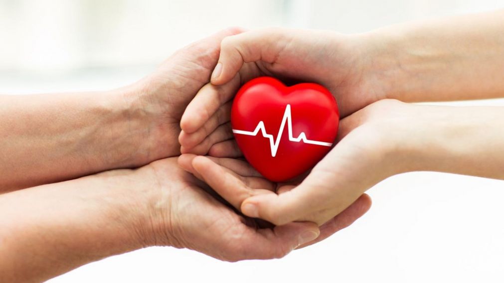 Los donantes con infección por virus de hepatitis C ahora pueden donar todos los órganos sólidos: hígado, riñones, pulmones o corazón.