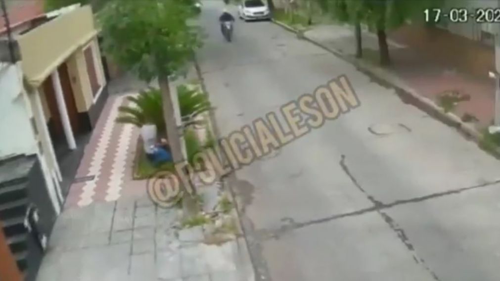 Delincuente se escondió en una palmera de Avellaneda.