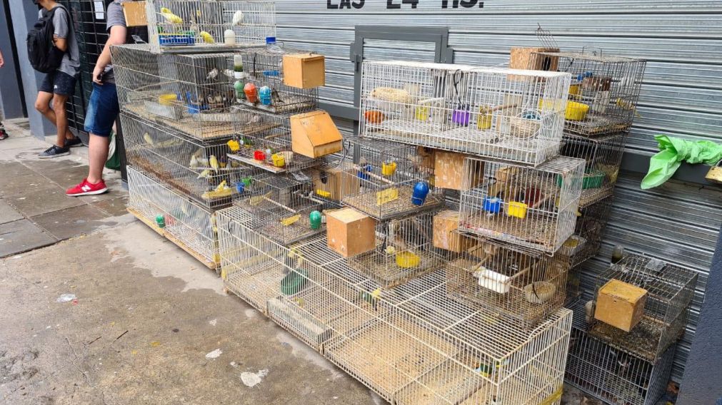El inmueble se encontraba en un deplorable estado sanitario (Foto: T�lam)