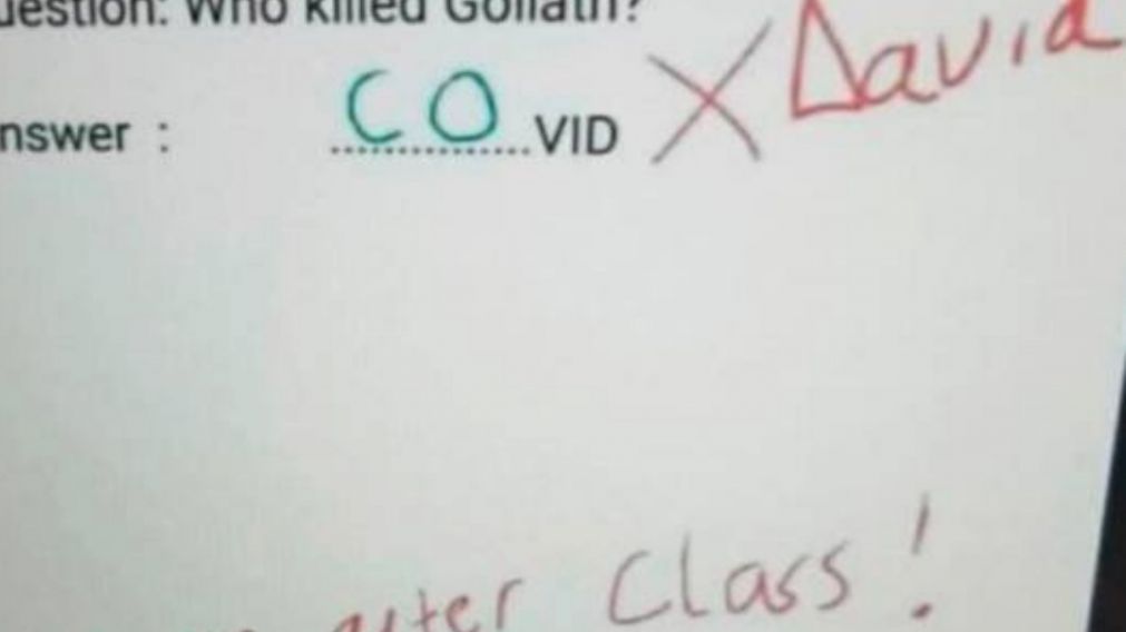 La confusión del niño se volvió viral en redes sociales.