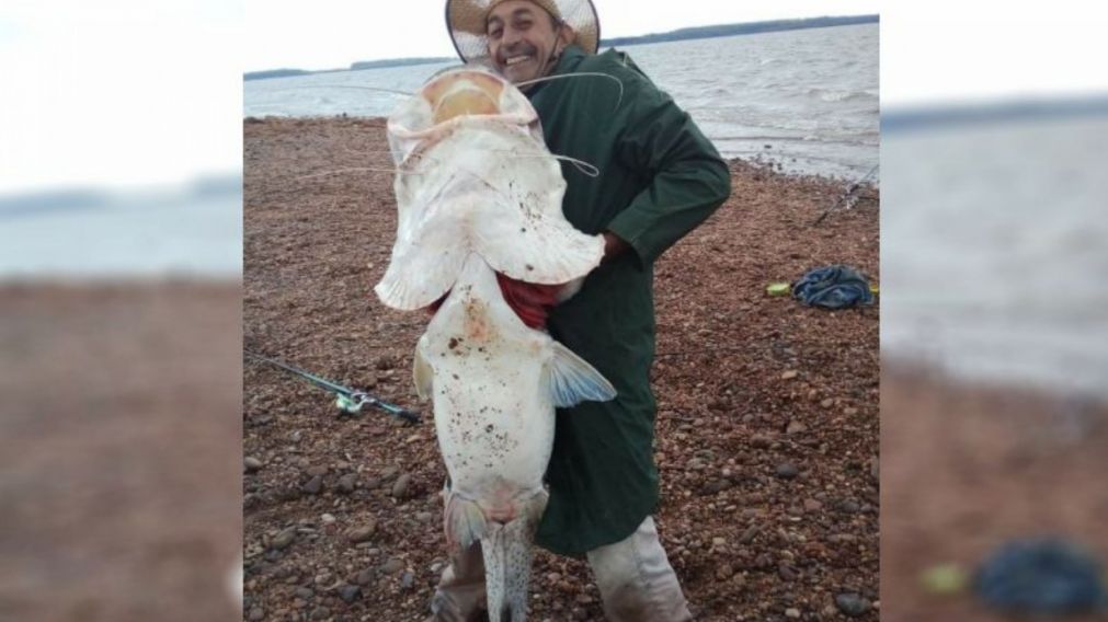 Mientras algunas personas felicitaron al pescador, otras criticaron su accionar