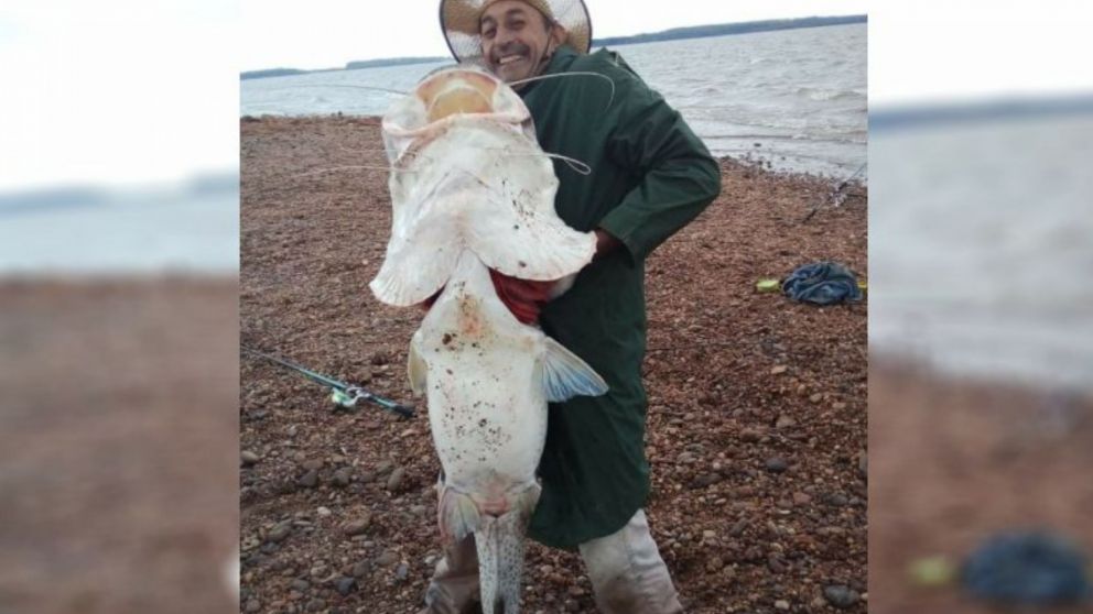 Mientras algunas personas felicitaron al pescador, otras criticaron su accionar