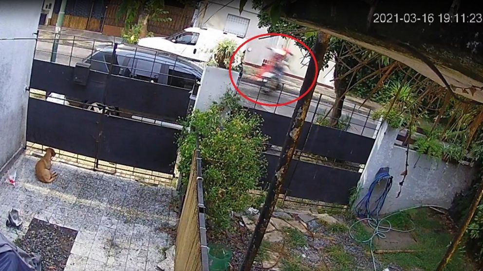 Motociclista hacía "willy" con la moto, chocó a un hombre y lo dejó al borde de la muerte (Captura de video)