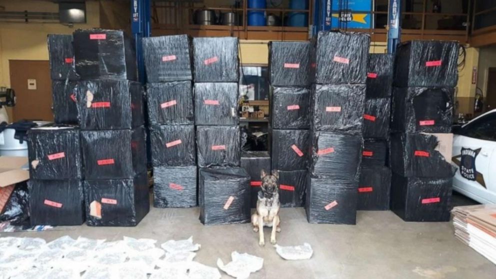 La camioneta llevaba más de media tonelada de marihuana que fue detectada por el perro (ABC)