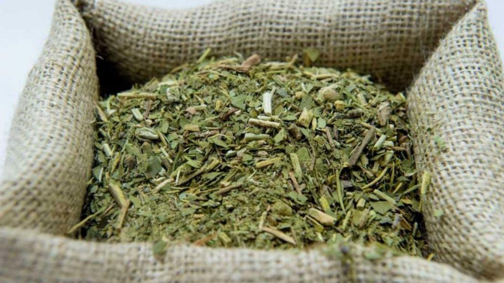 Argentina export� 40.694 toneladas de yerba mate en el a�o 2020.