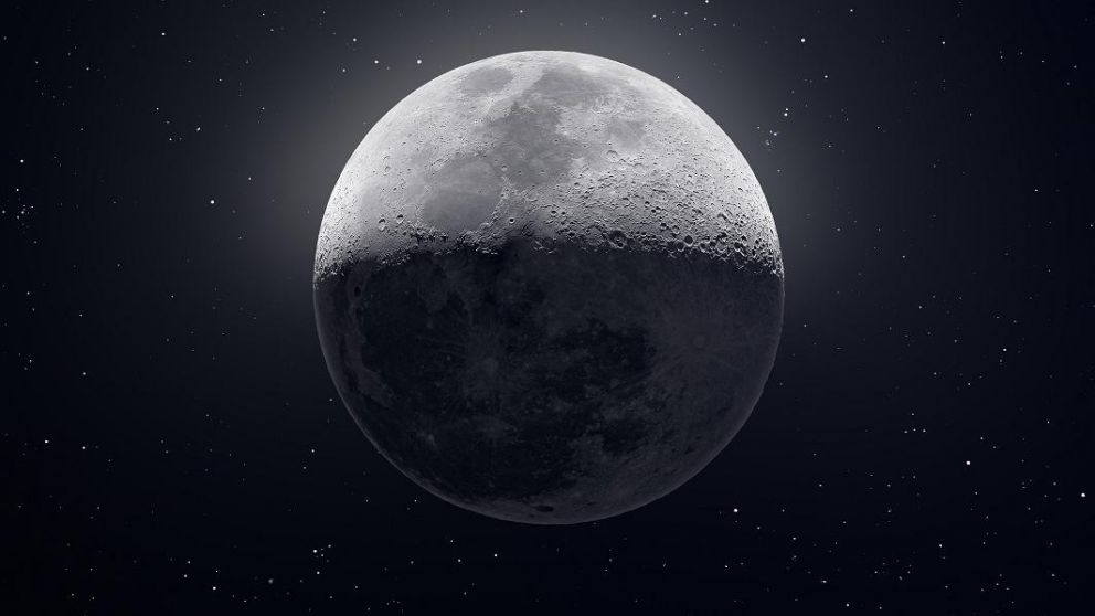 Es para proteger a 6,7 millones de especies que habitan la Tierra.