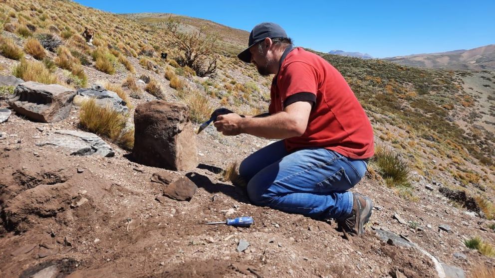 Encontraron restos f�siles de un Ictiosaurio en un campo de Malarg�e en Mendoza.