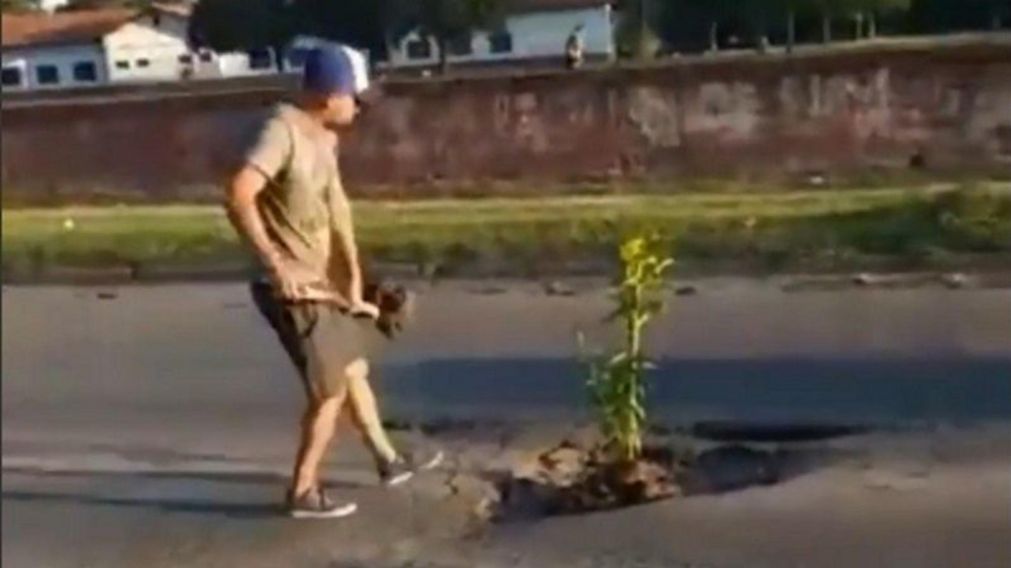 El conductor en el momento en que planta el árbol en el medio de la avenida.