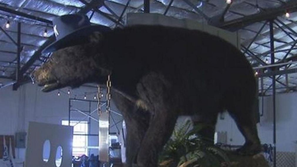 A 36 años de su muerte, "Pablo EskoBear" tendrá su película