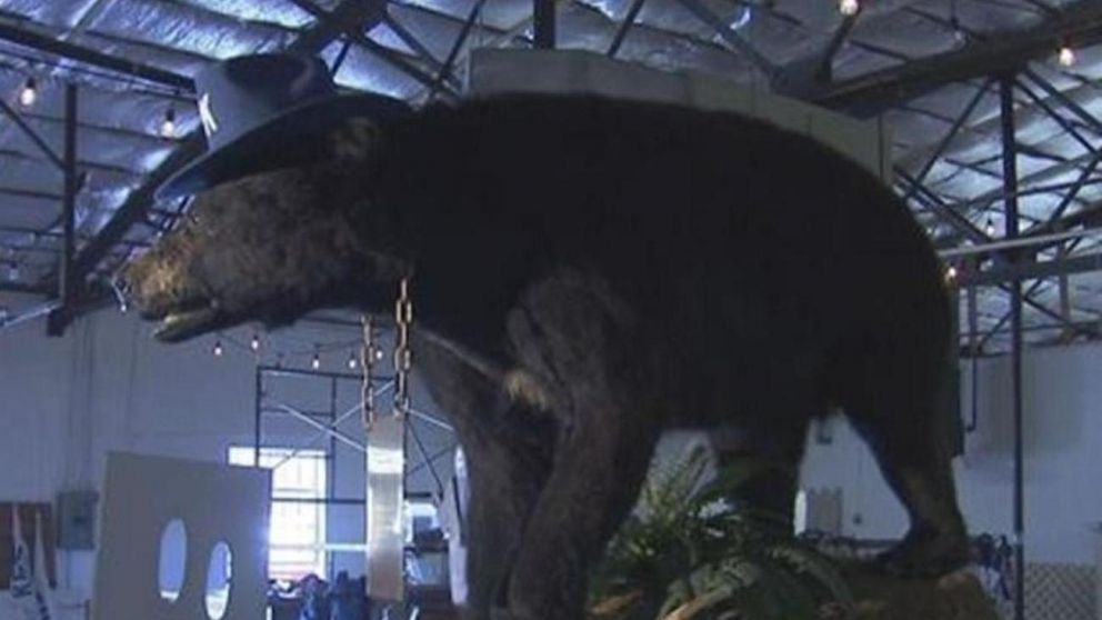 A 36 años de su muerte, "Pablo EskoBear" tendrá su película