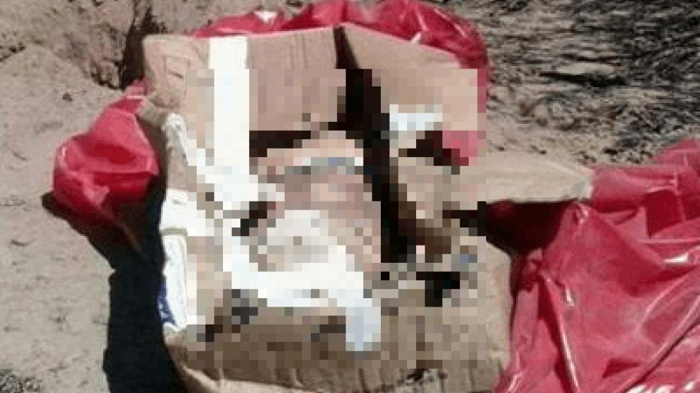 La pierna fue encontrada en una caja con sábanas con sangre y una bolsa de consorcio roja.