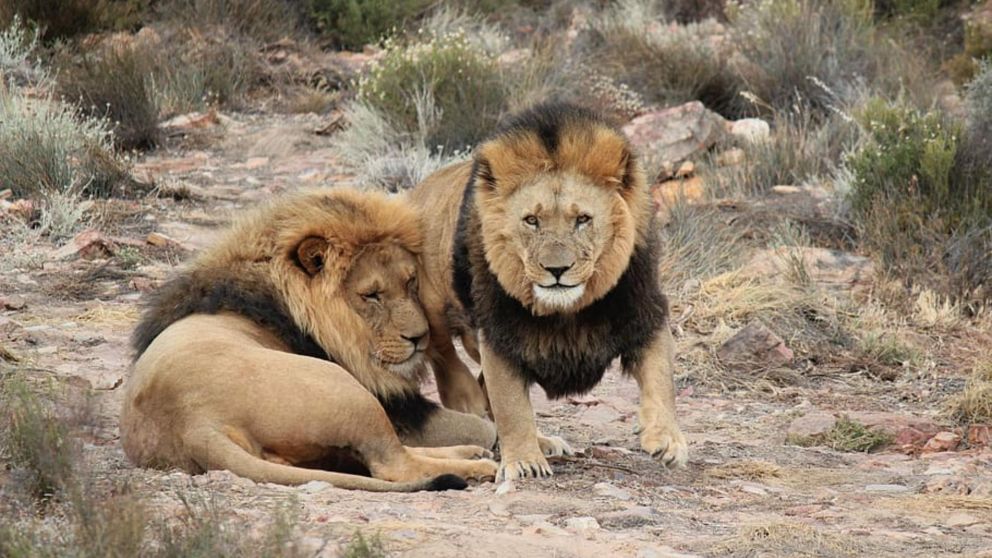 Un compañero de trabajo se encontró con la escena terrorífica (Foto ilustrativa).