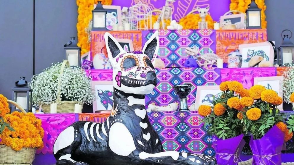 Día de Muertos de Mascotas: por qué se conmemora este lunes 27 de octubre.