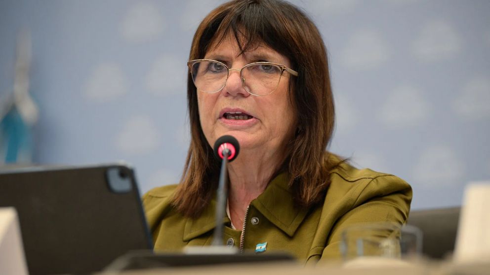 Patricia Bullrich expondr� este martes en la Comisi�n de Presupuesto de la C�mara de Diputados.