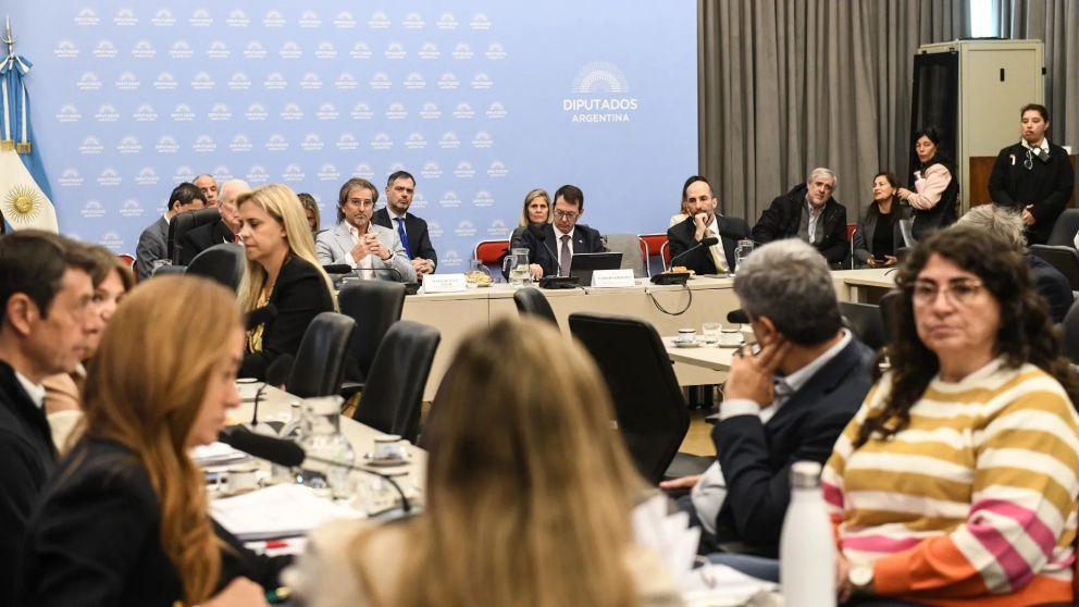 La reunión de la comisión de Presupuesto y Hacienda (Foto: HCDN)