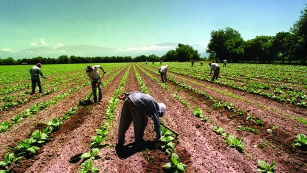 El Gobierno prorrog� por un a�o un decreto que permite compatibilizar los planes sociales con el trabajo rural temporario (Imagen ilustrativa).