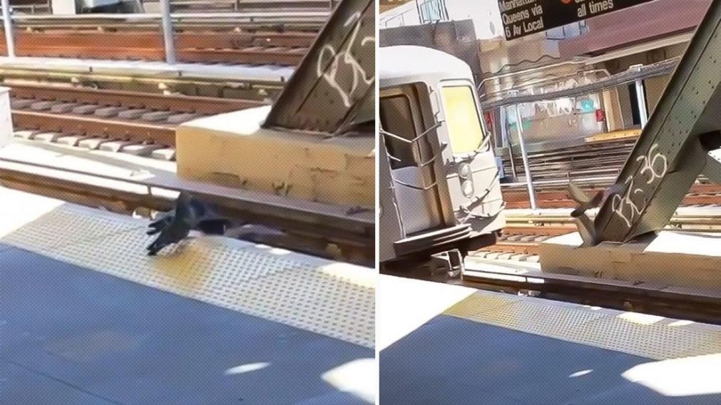 La secuencia de las palomas en el metro de Nueva York provocaron los gritos de los pasajeros.
