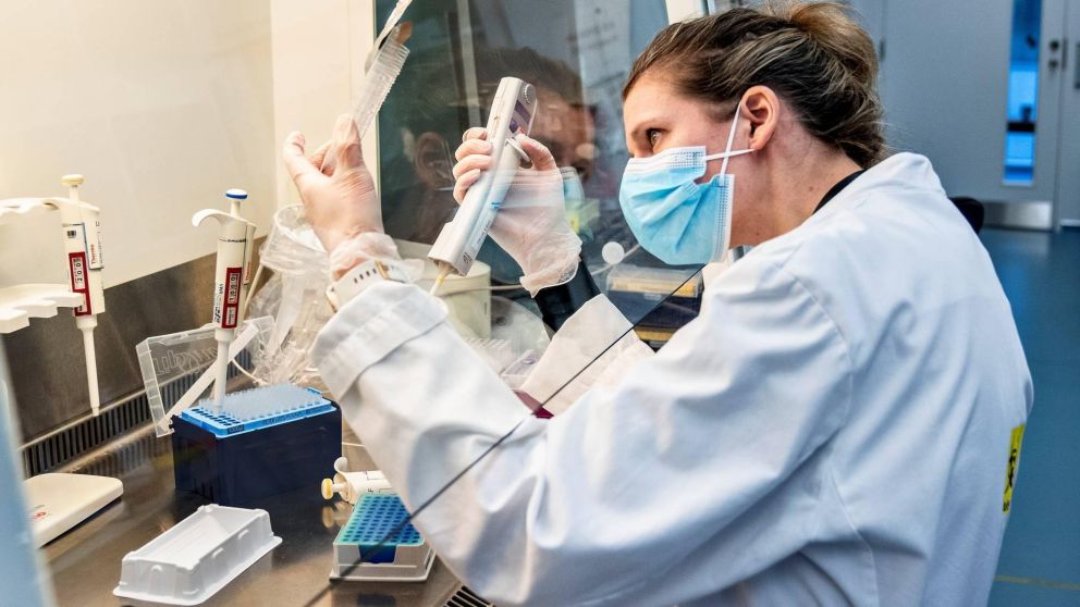 La investigación fue realizada en Estados Unidos.