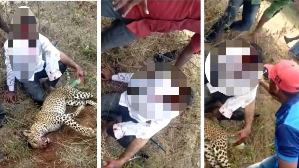 As� quedaron el hombre y el leopardo tras la feroz pelea. (Captura video)