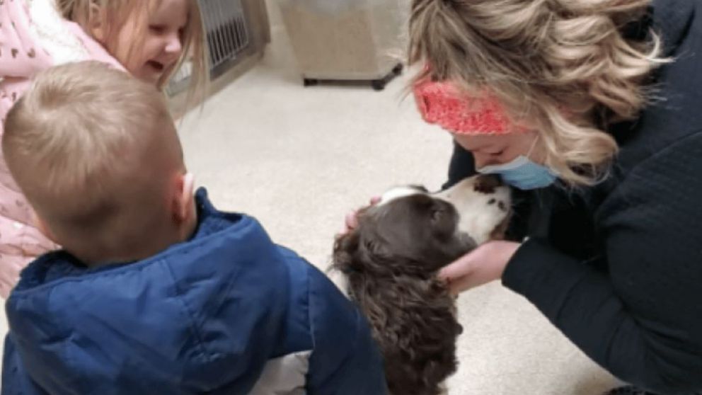 Milo y su familia se encontraron nuevamente en el refugio que hospedó al can.