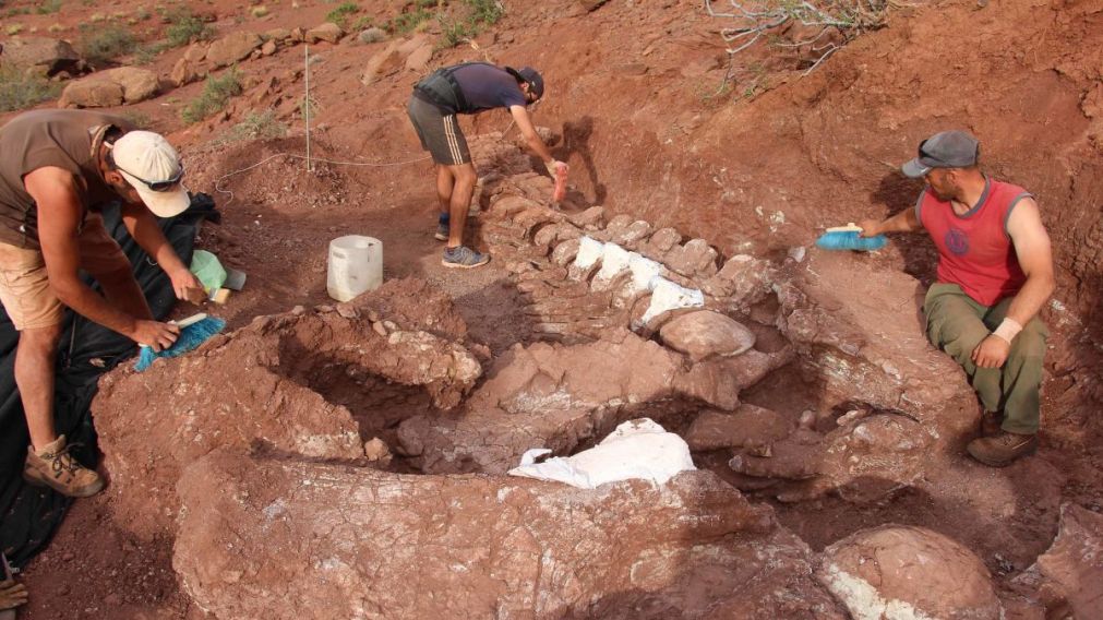 El dinosaurio hallado en la provincia de Neuquén se estima que tiene unos 140 millones de años de antigüedad.