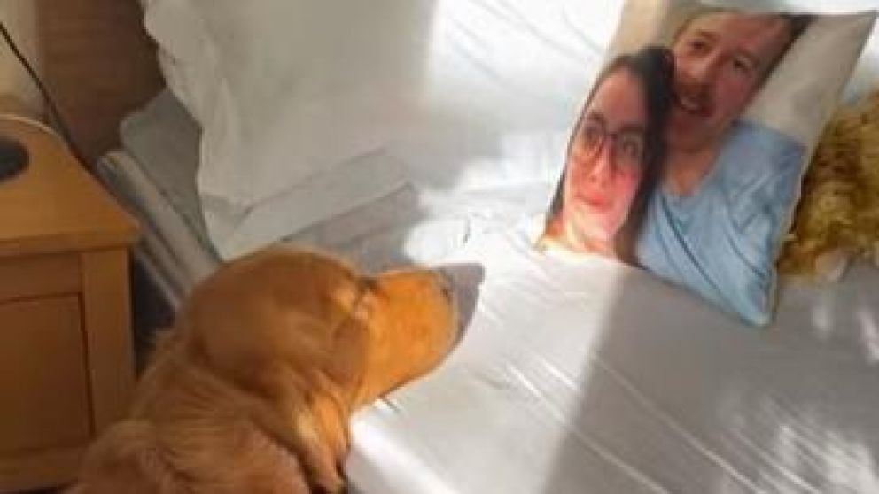 Un perro confundió a su dueña con un almohadón que tiene su cara impresa.